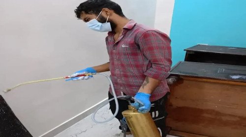 🪳 Cockroach Control